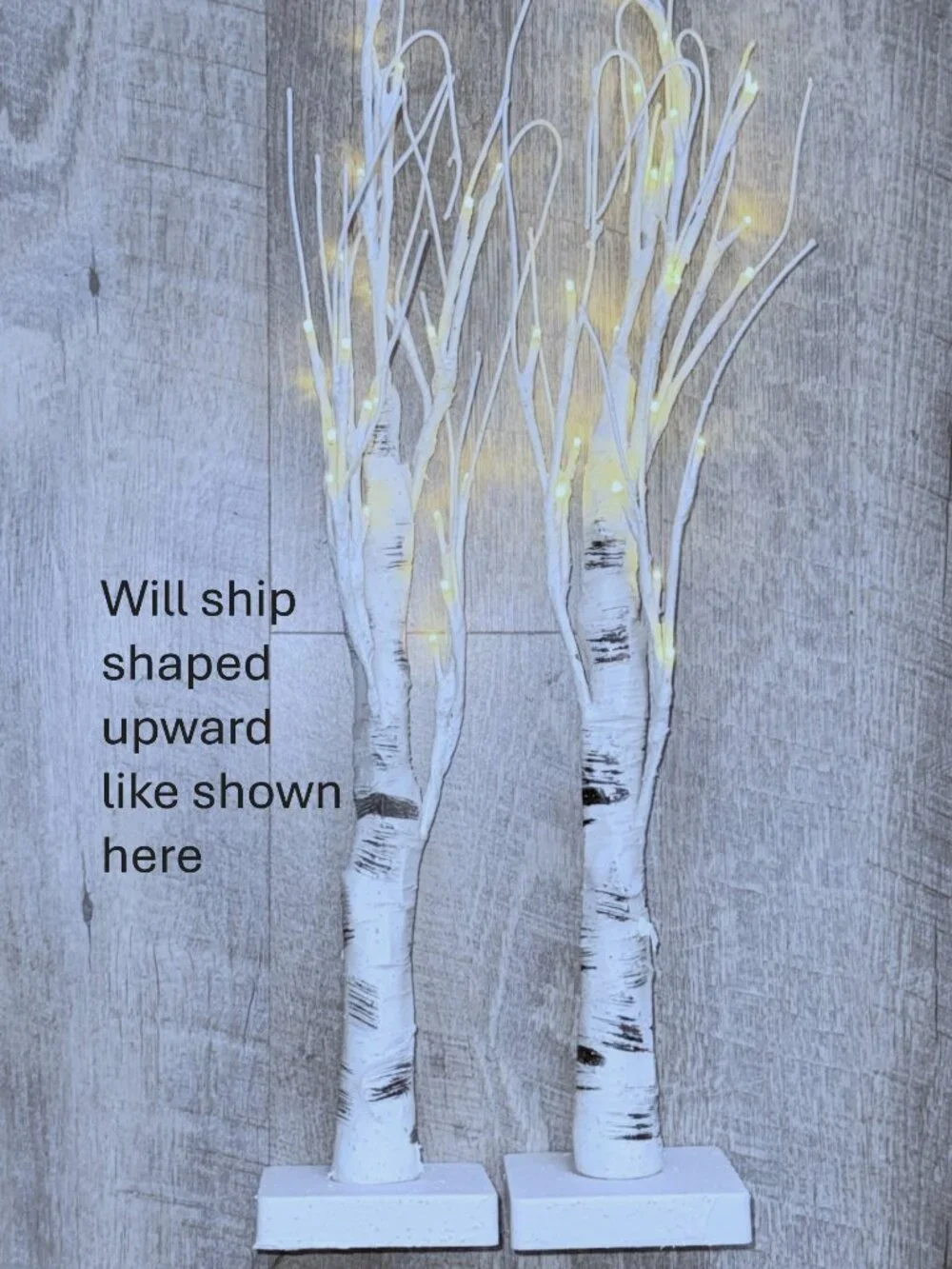 Pair (2) LED White Clear Warm‎ Pre-Lit Birch Trees Accent Lighting 24